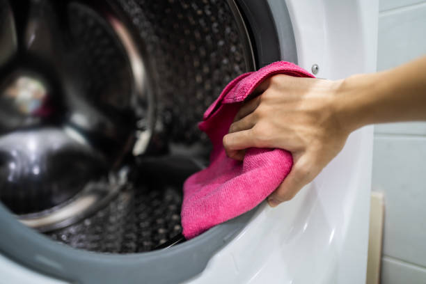 Best Mold Odor Removal Services  in Forty Fort, PA